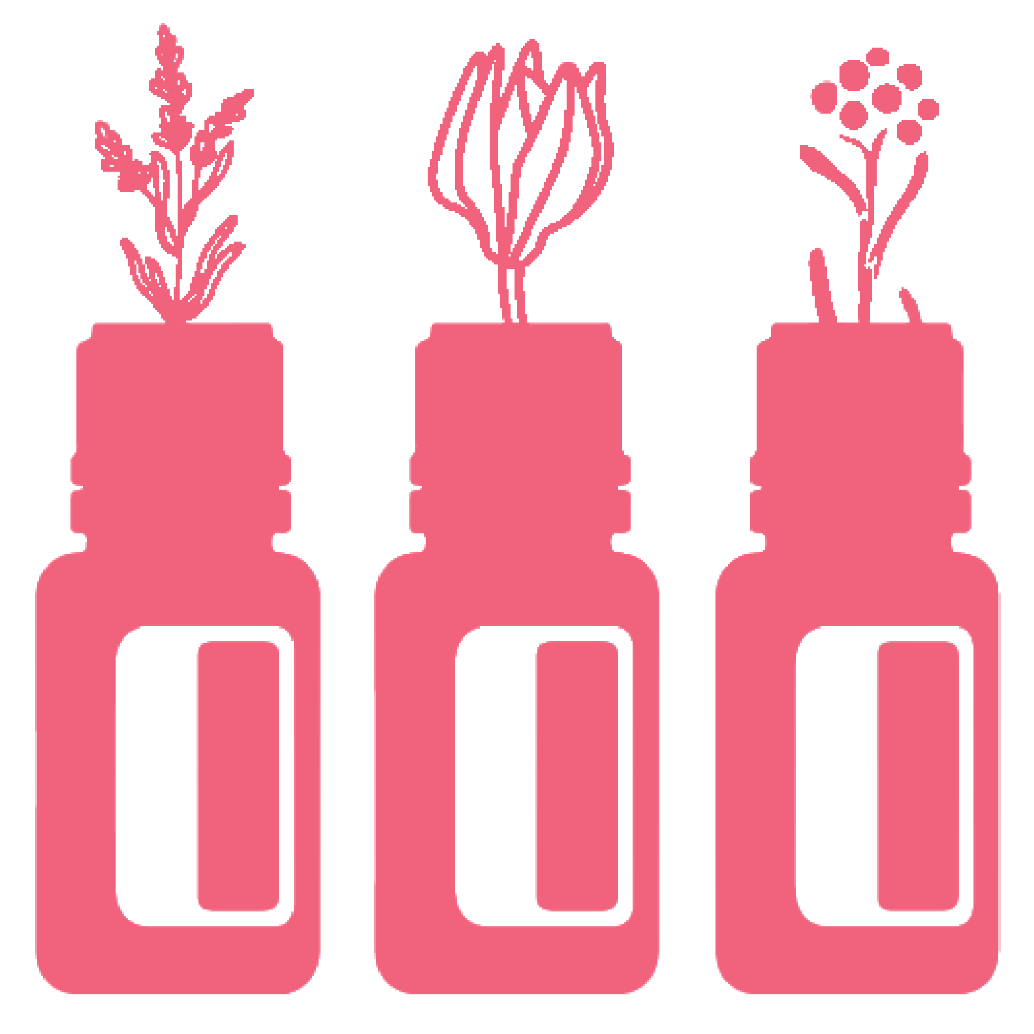 ドテラ　 シトラスブルーム、リツェア。 Citrus Bloom Springtime Blend | doTERRA Essential Oils